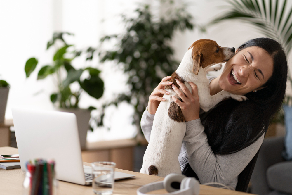 ¿Cuándo es el Mejor Momento para Asegurar a tu Mascota?